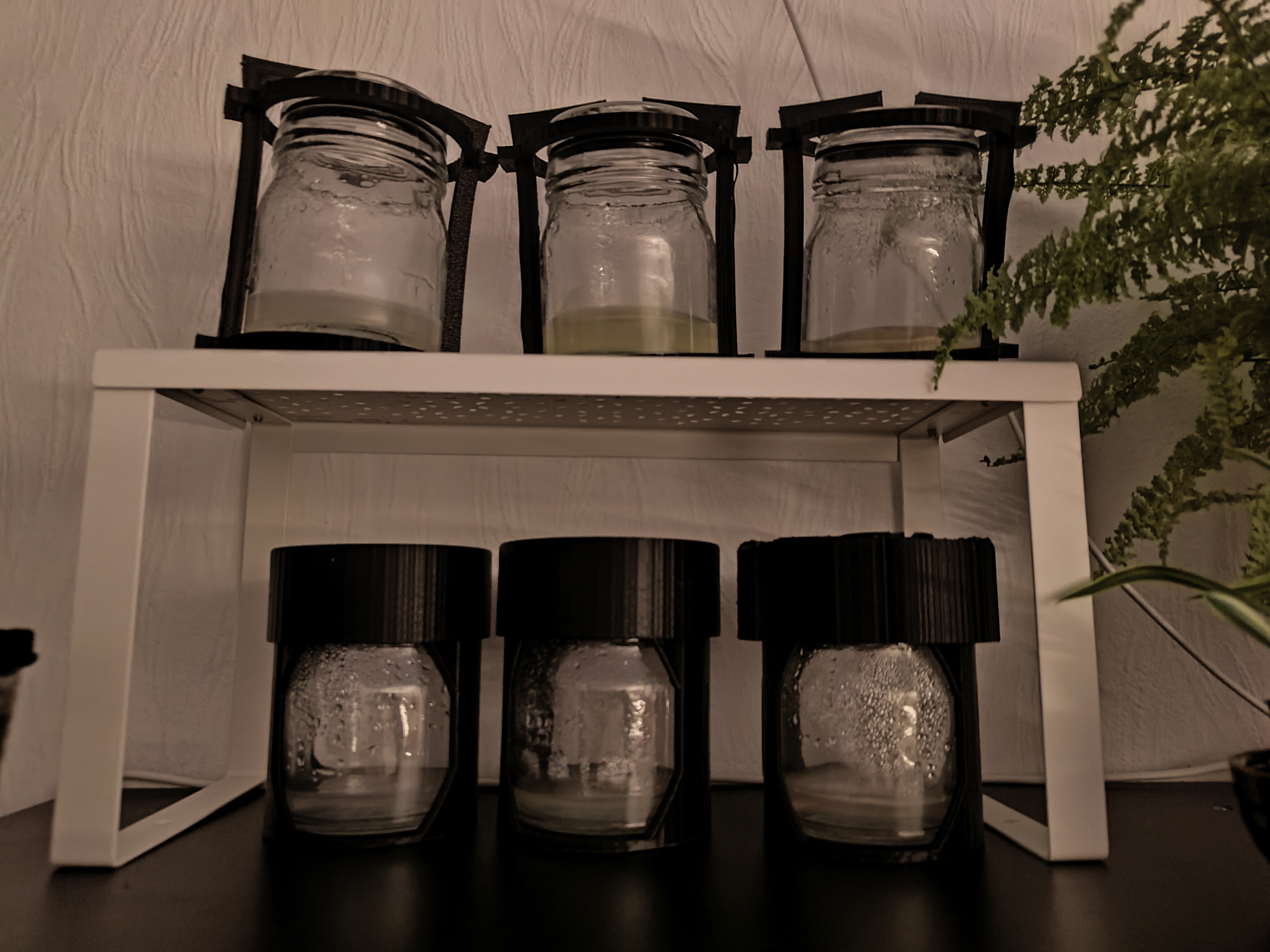 Container Prototypes 2